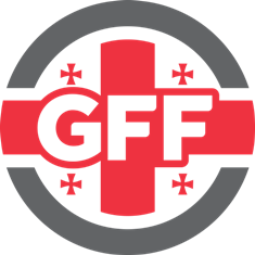 Georgian Football Federation